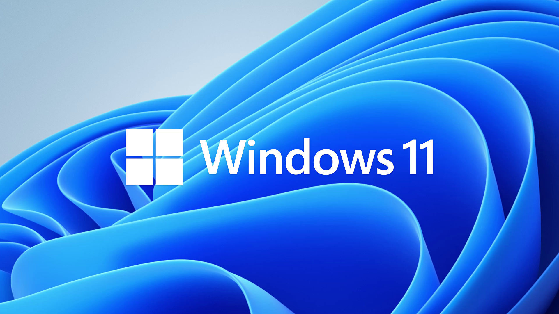  Windows 11  .  