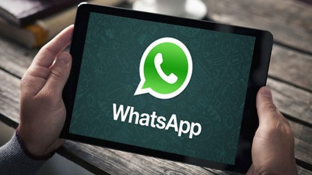 WhatsApp -    . ,    Android-