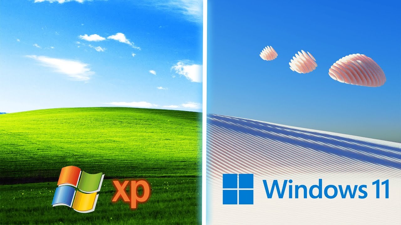 Windows XP  Windows 11:      