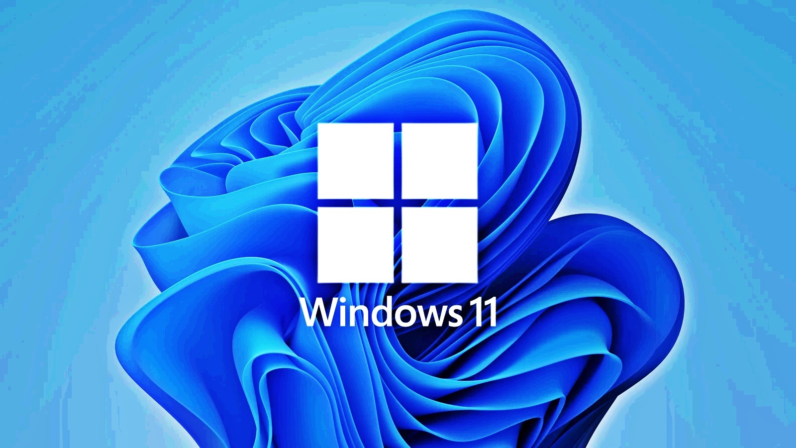 Microsoft   Windows 11  ,    