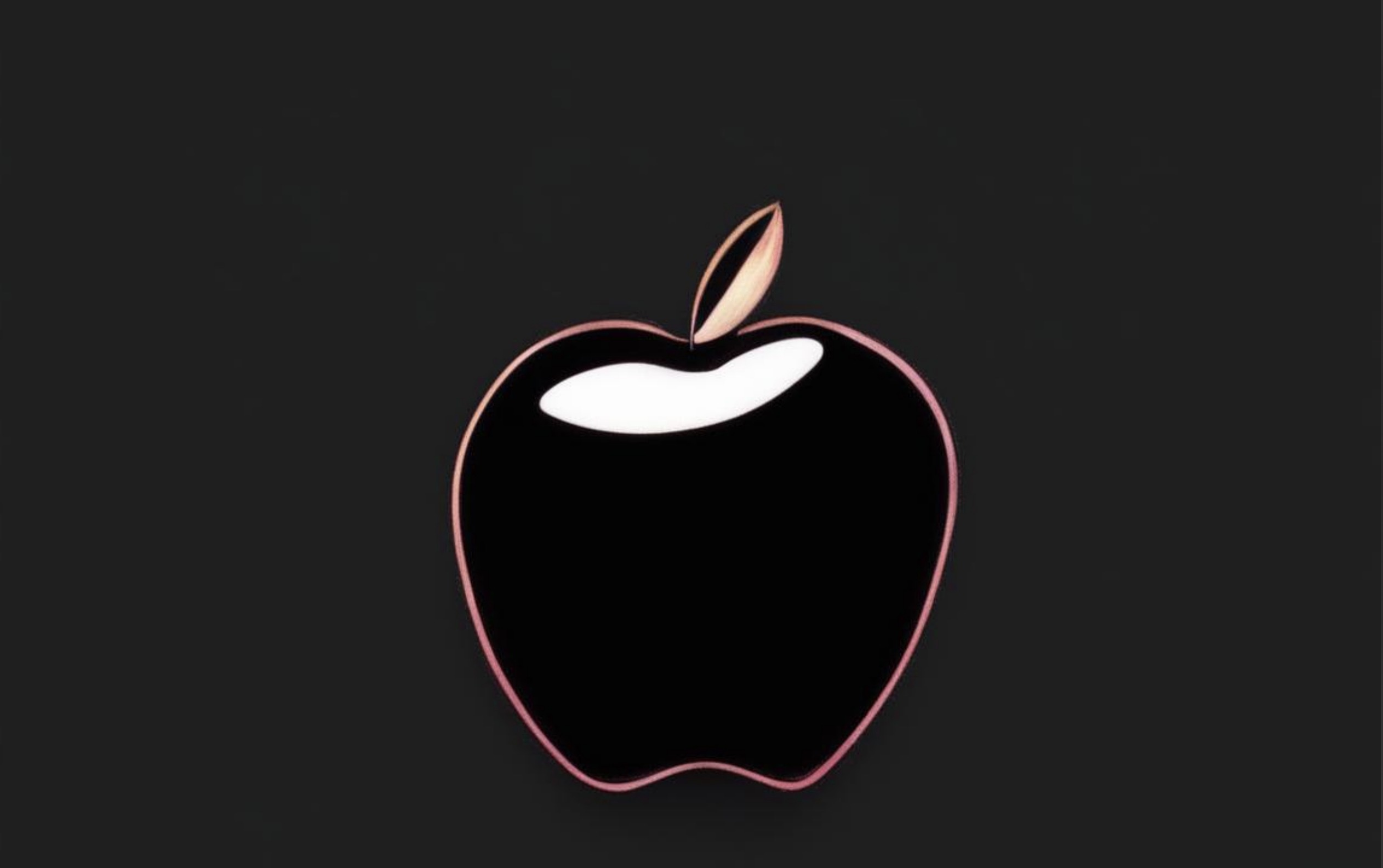 Apple   iOS 17.3       