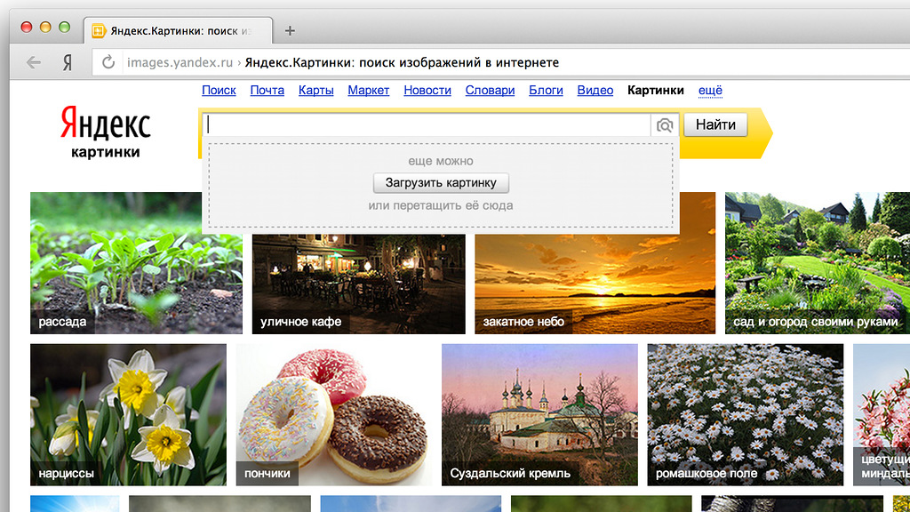 Поиск по картинке. Яндекс поиск. Поиск по картинке Яндекс. Яндекс картинки искать. Искать по картинке в Яндексе.