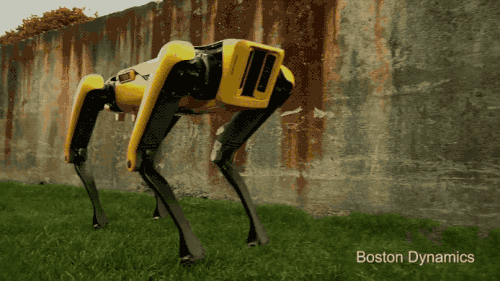 Boston Dynamics показала менее страшную робособаку