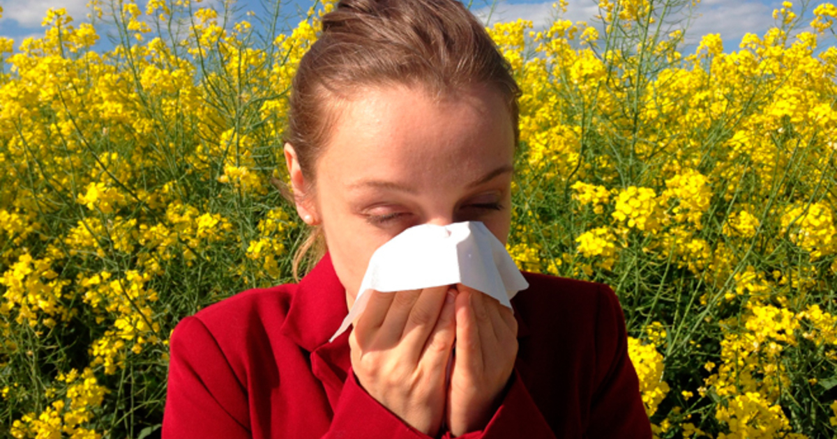 Увлажнитель воздуха от аллергии отзывы thumbnail