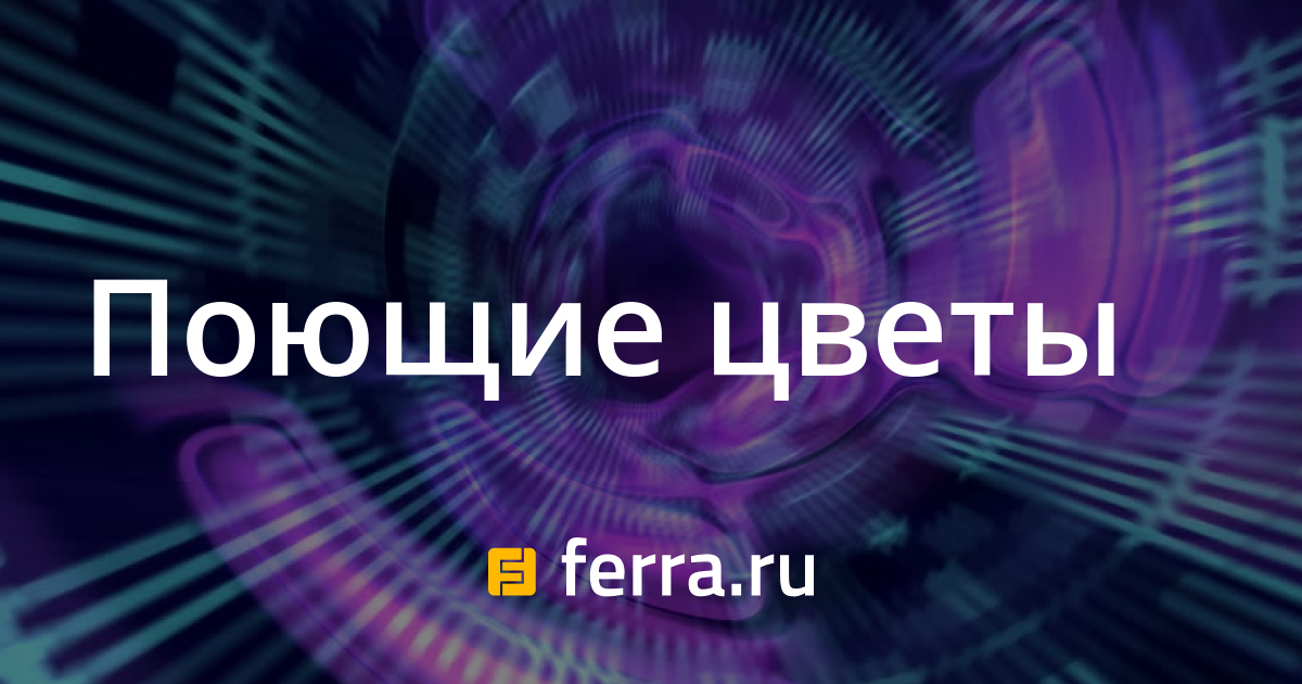 Поющие цветы: Новости: Фото, видео и аудио — Ferra.ru