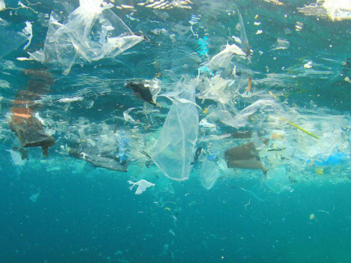 Раскрыт потенциальный источник загрязнения пластиком Северного Ледовитого океана