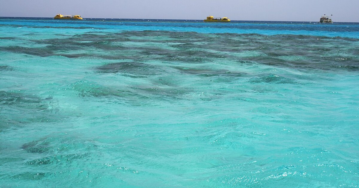 Самой молодой океан. В Египте море или океан. Море в Египте соединяется с океаном. Пластиковые волны.