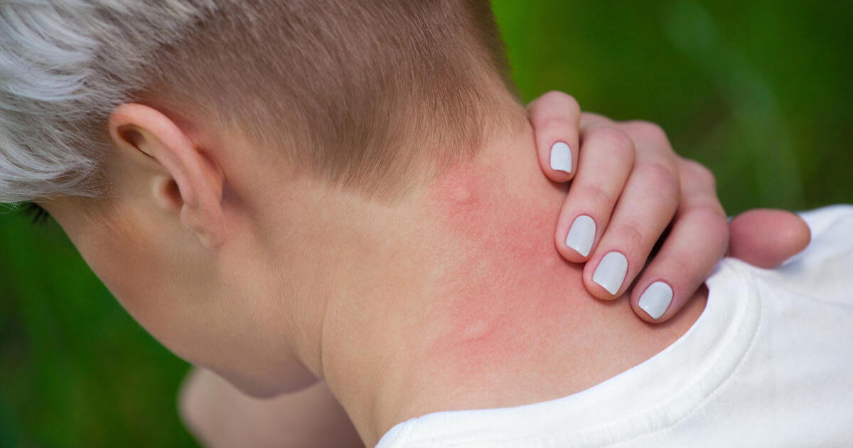 79386f8f9499c5162cb31f9ba5ffec80e8ed3234