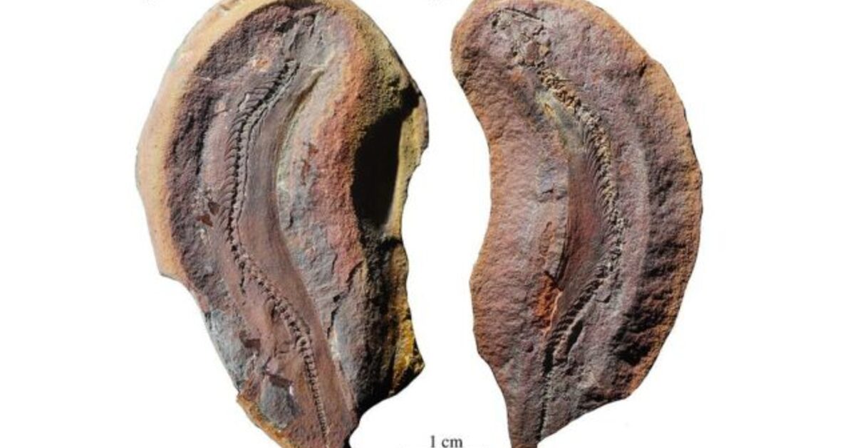 caf195755da2484536f54162d1d72e859afbc3c7