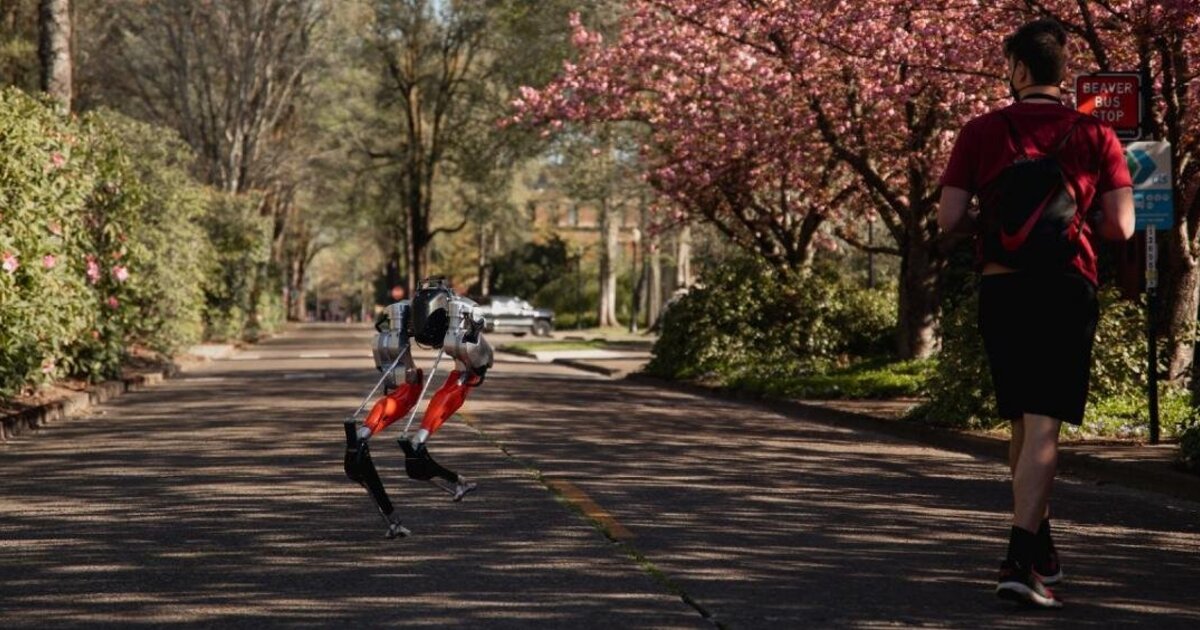 1e8eba940cb0678cc35d8badc92ba2c74f83bb5d