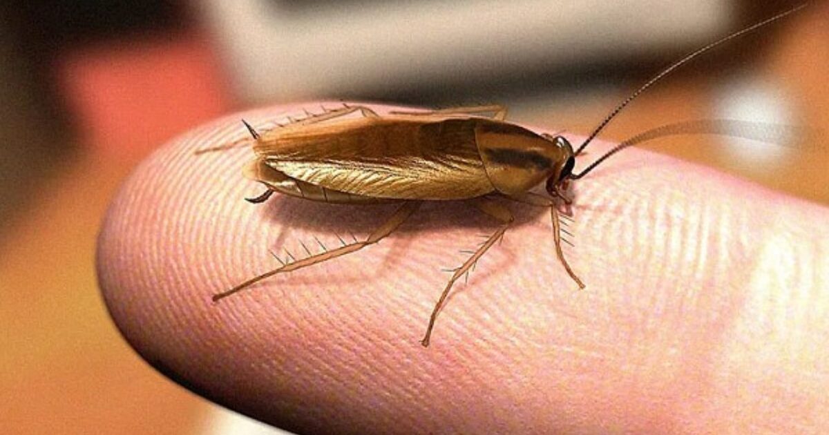 b1873abb47558f957765af40e0219f3bf475129e