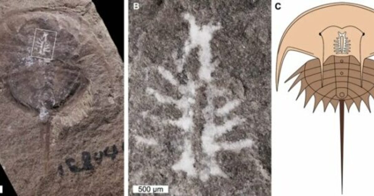 7588d4ba48d0a57523219a72d8f085982ea4f8f3