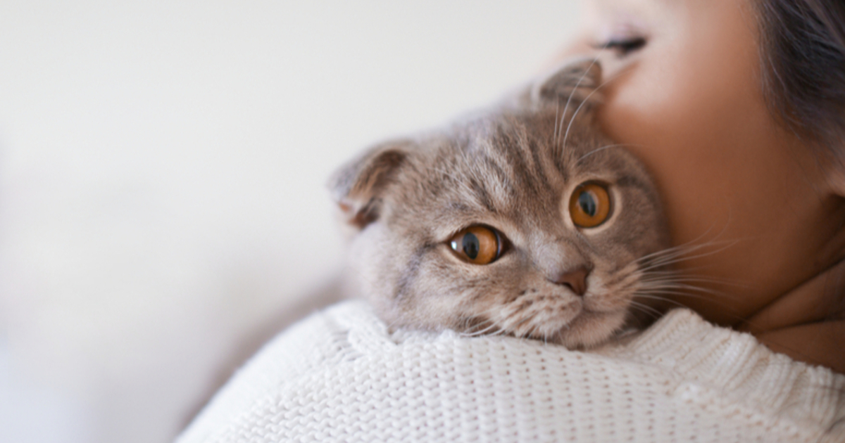 e6f57d2915e0fcc64b6989a173b2f800d3469853