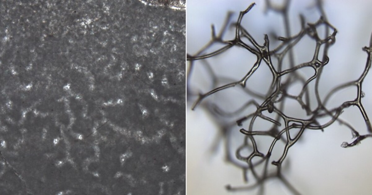 02ee4a77ac4efcc25cb11860bb8749b1bbf5d7c3