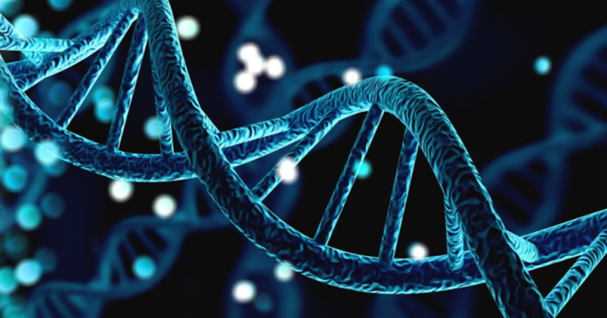 10a33182c7eacb6e54cf64de00807b89543dfeb6