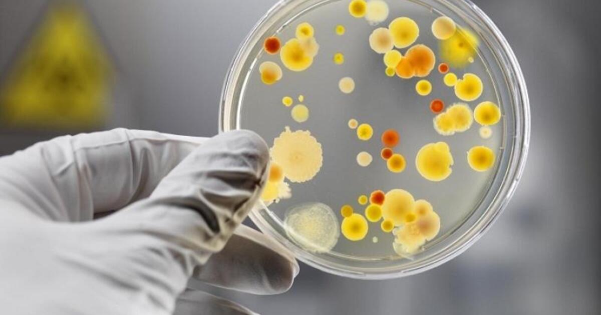 645aa9c42d185c63dd844e2594150a5978d5d3d7