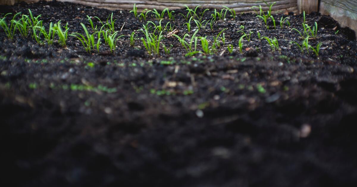 99d9626f9e05431cfa1e38b73bcdad37f19f2d42