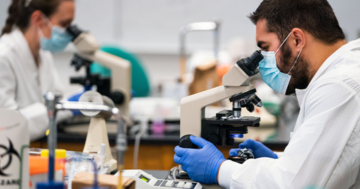 fc75c5db63bf66c63ffd865375a5fea897261097