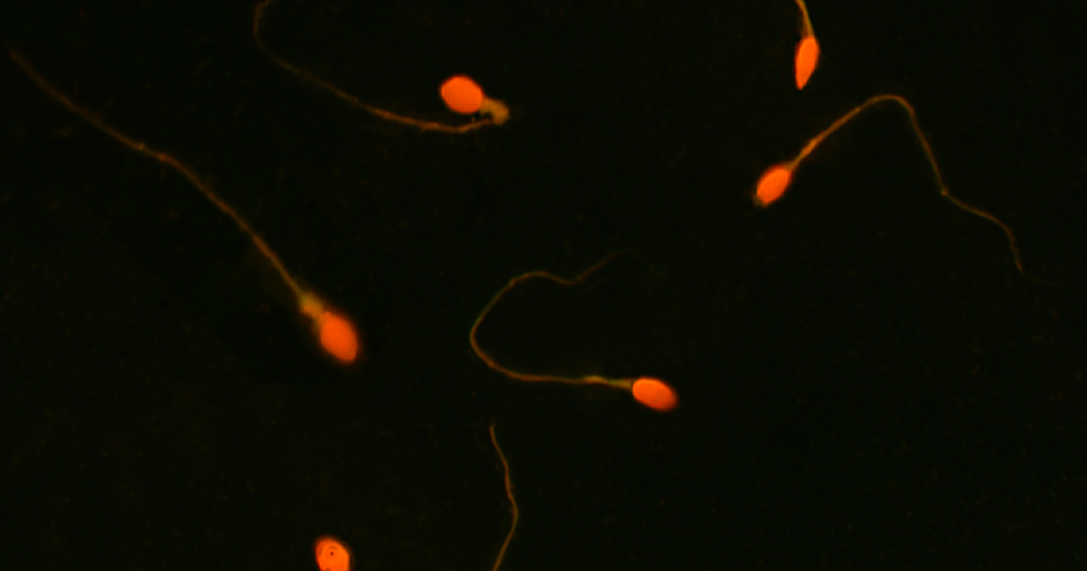 658c91c69850c77ed6cbdd09077f330733b93f8f