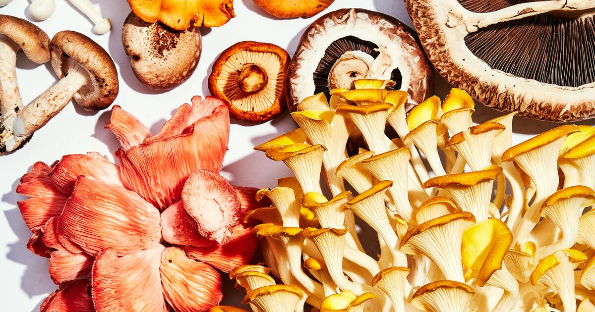 ca58949466dfc01f47b1bd1b8fa9b75336b21235