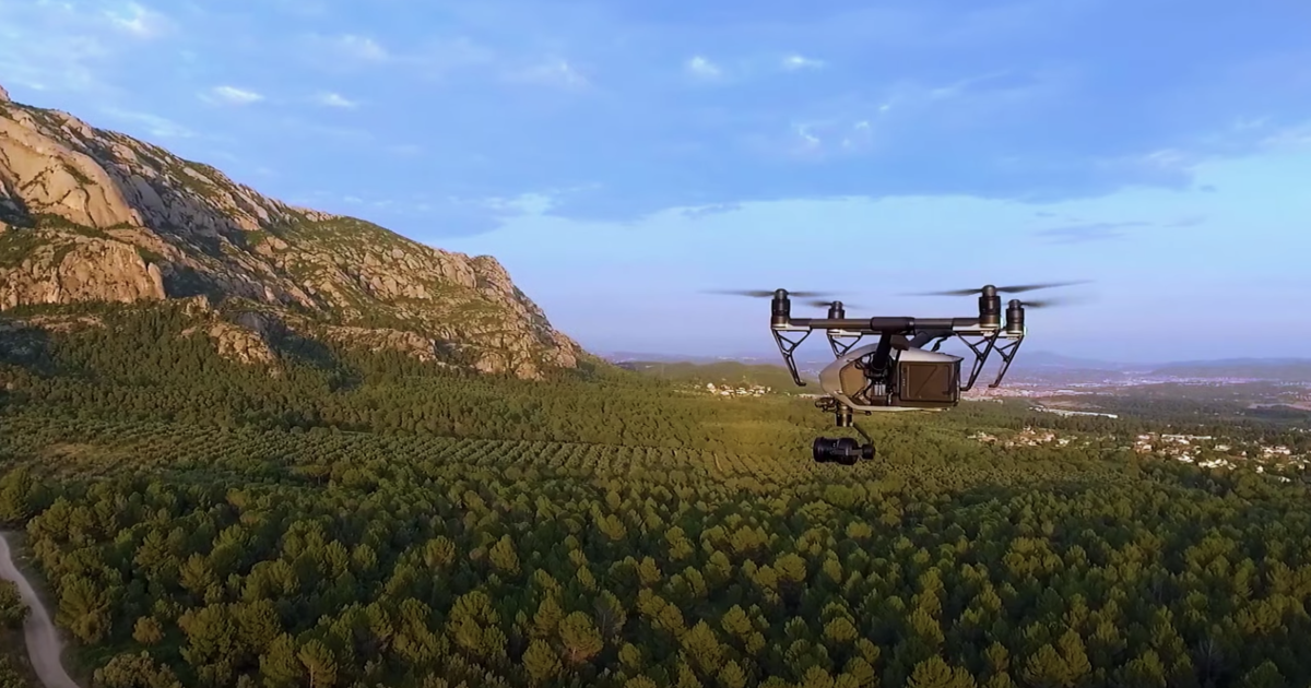 bee1376460eb8d245ed209f8245bc4e30a5dd80c