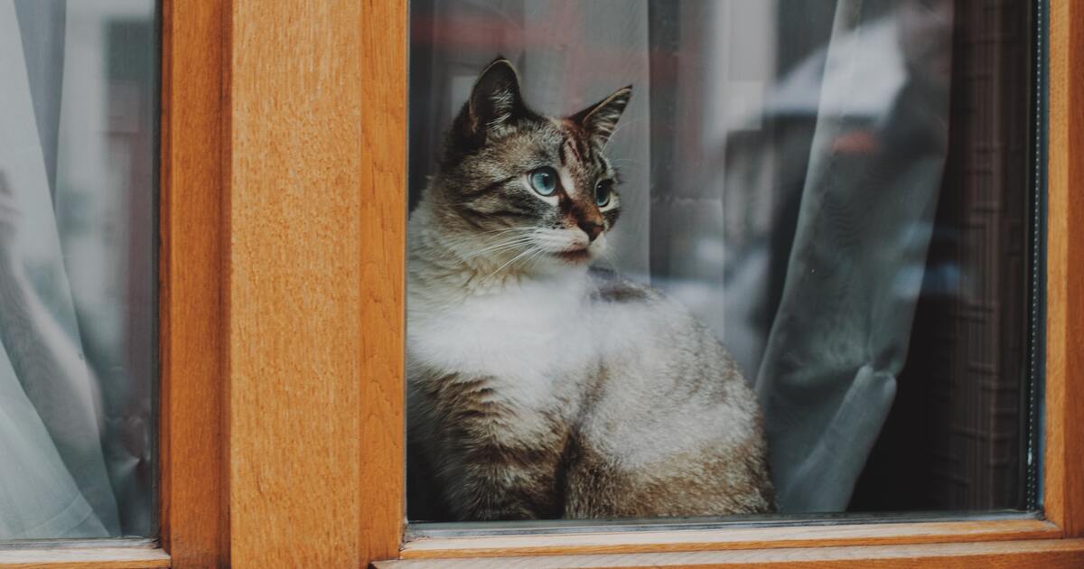 9db891bc5ecfd05c522de66286d3570c6f3effba