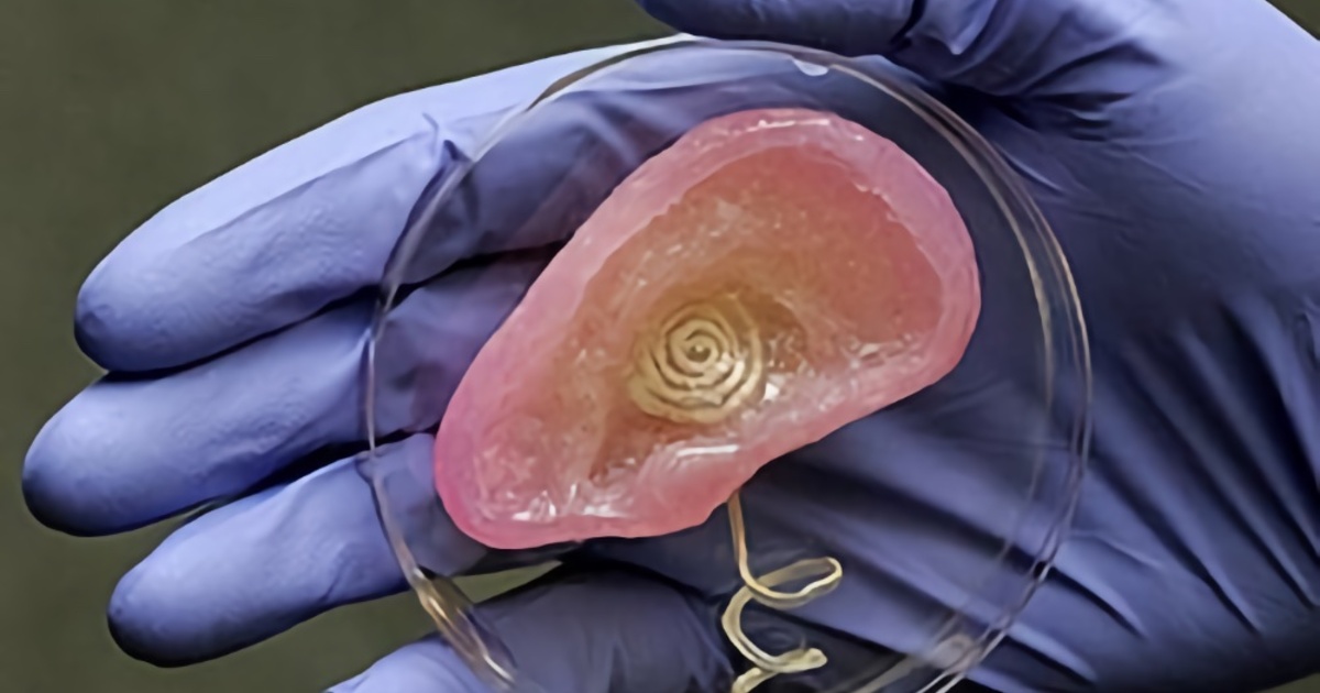 0fa1aa498b60109404cadf574991a91f5346d956