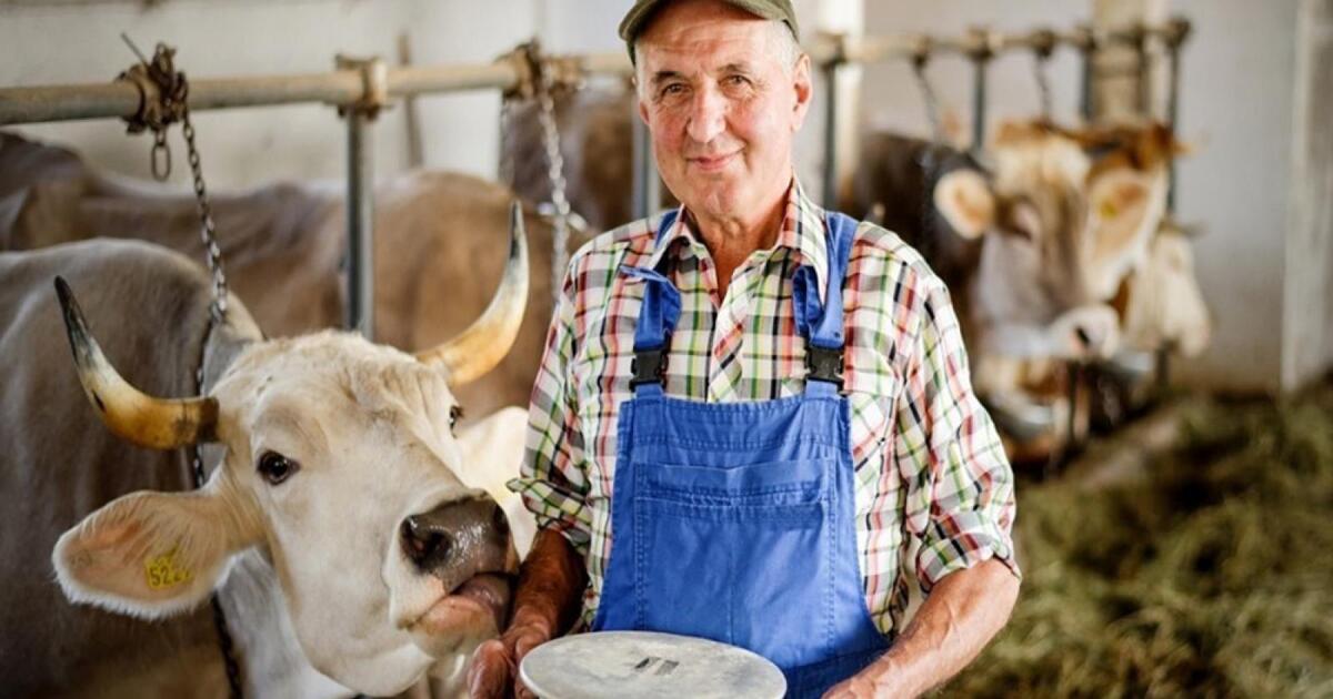 a488f4d1e84f56b55fc1ecb3d2a80b74aac8bfd5