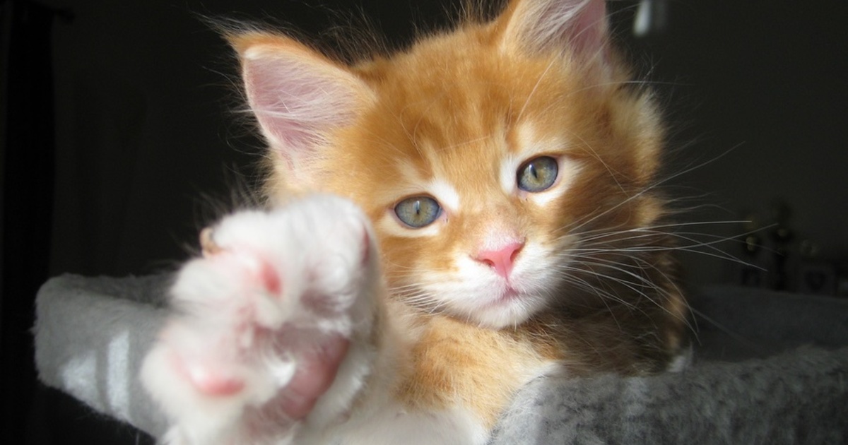 e7efb9d6fbbe3b1ea5299ee50ba7def8a5d86348