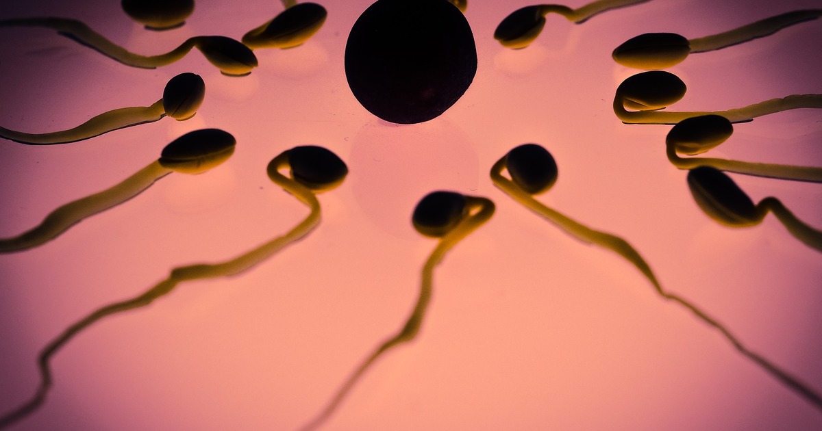 93635e16bb46b8eac185a97cb2be5e0e5c076e6c