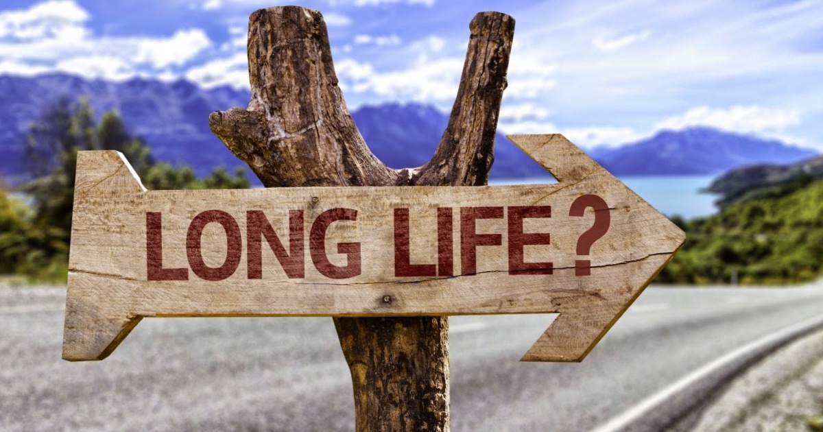 94eb87829fc701e84cd1dd13f703d41667bd826d