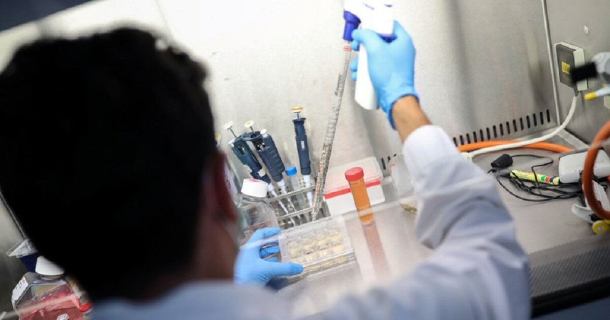 d4e15b6aaff7e6f1e673b8fcc1abedb2c8a3f4e4