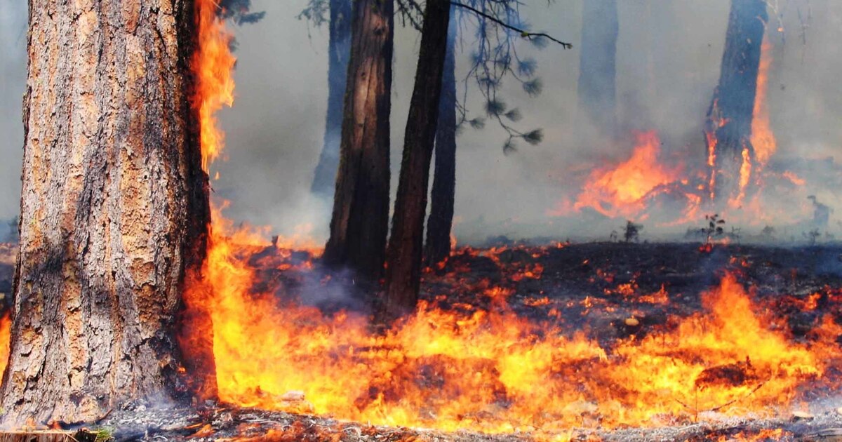 5cac477e4eb3be9d6678cd7da8d210fdc30e6562