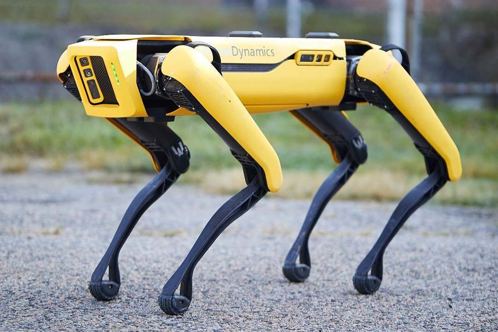 Знаменитую робота-собаку превратили в охранника