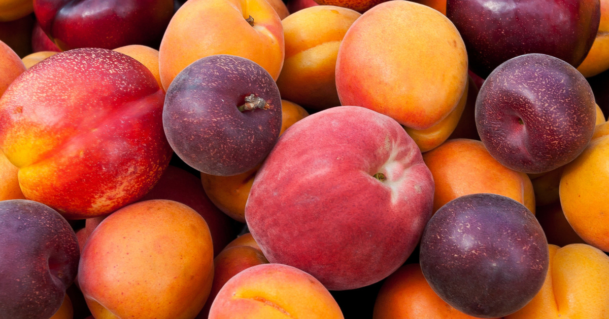 1d8ebf963fe5c5a16b8d2c3e72f1e6377dc3cfc7