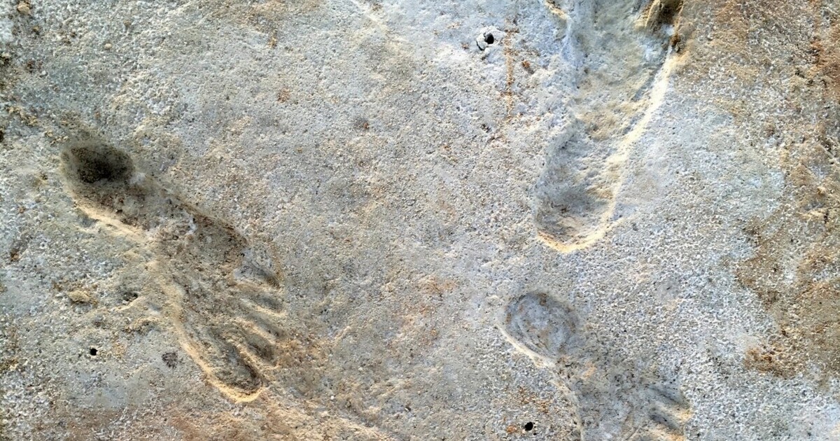 c5df17f60fb4ec69f50b4f65fe6de76f229f7a3a