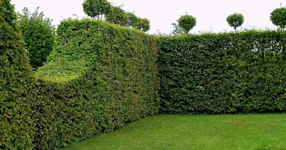 2a6e4d36853b32d22585ce728adc7dbdde27e8fa