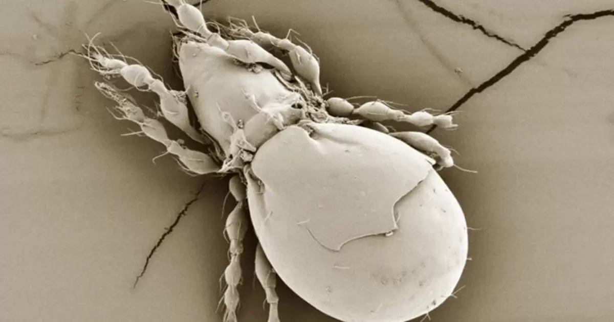 fb10e4aa77a149917f199445078aad363a98fd31