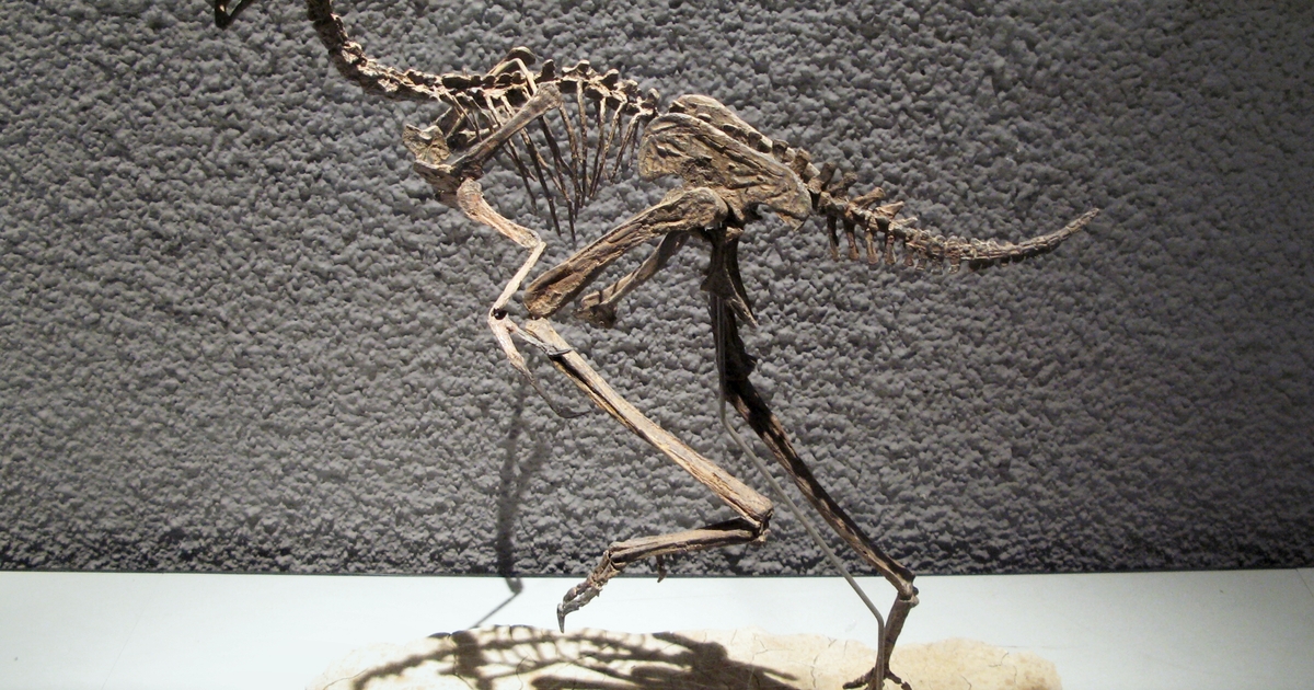 ea97cf042577cb52884c98d60b70d2d7b737c5d5