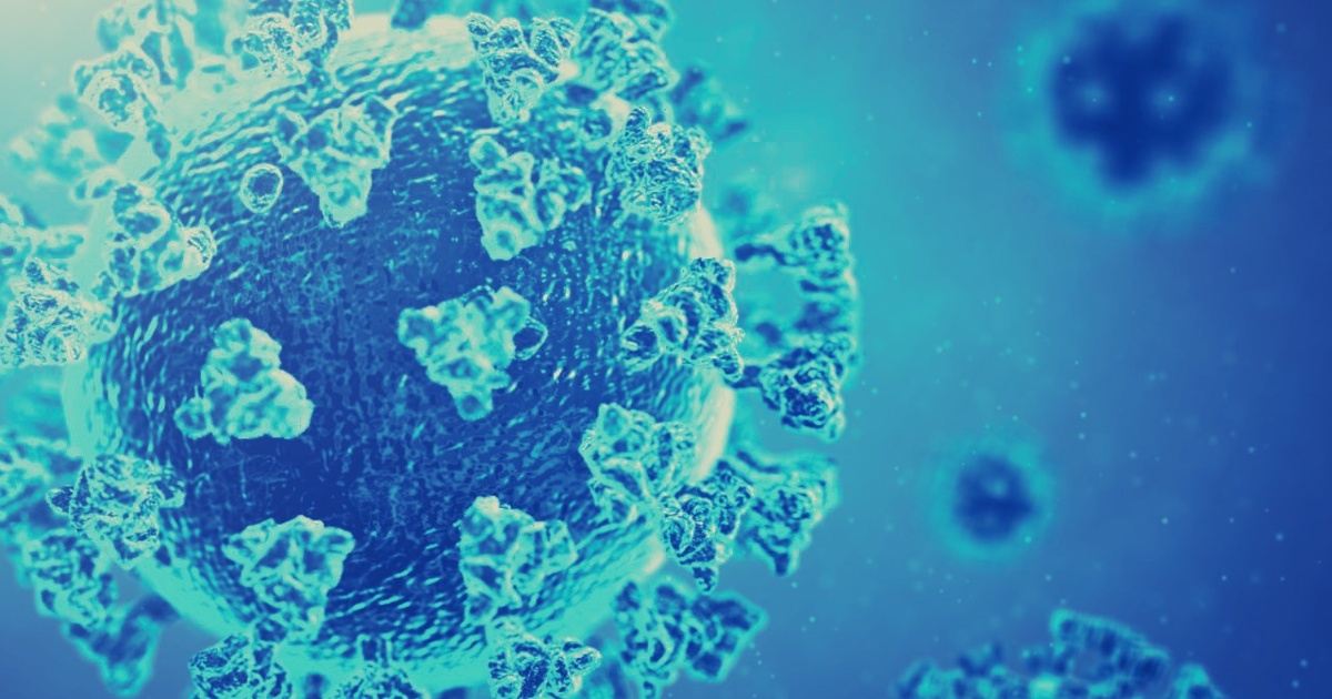 62e1949c07026868878944436734545714b66549