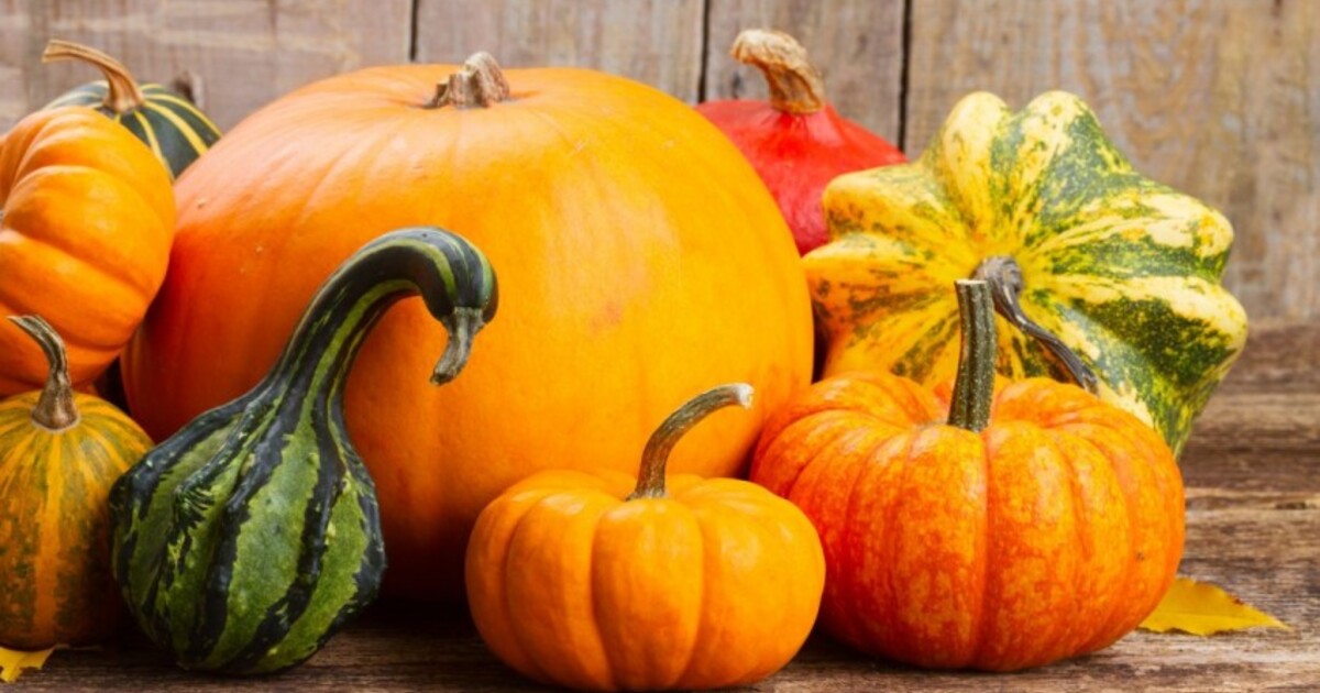 eae6c66e685cdb201cfb0190f97bbedb718b7416