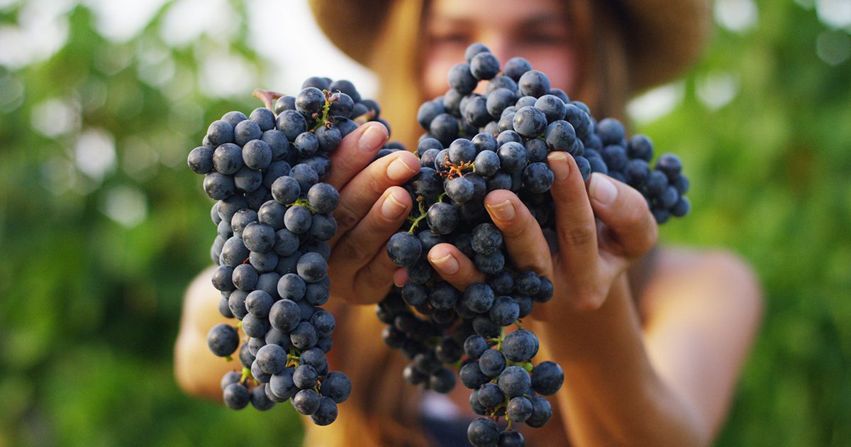 adfe9a84dd8e181992f0d303ea7f0441ce6a5a74