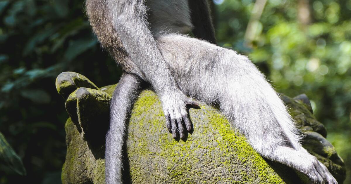 c8aebd38efa30a594c41c2c5435f6d60d8243a80