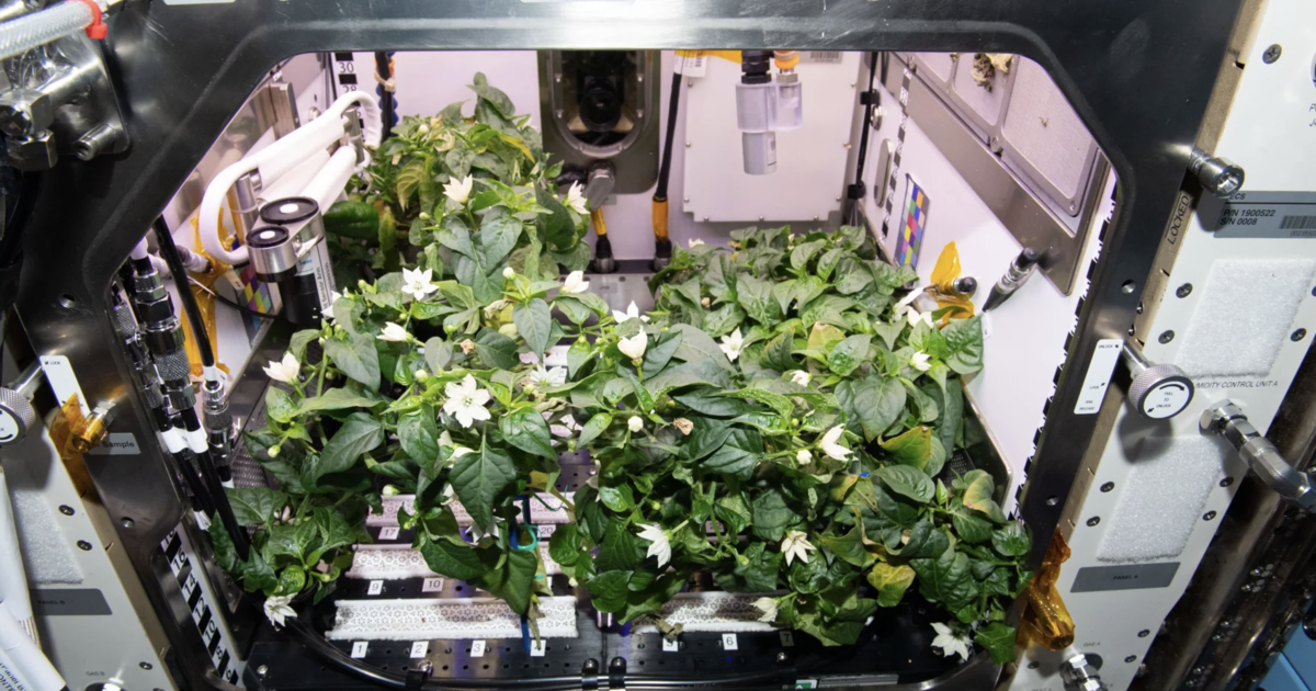 5df0df02f9d1dedb68d01b85009d0d336448f036