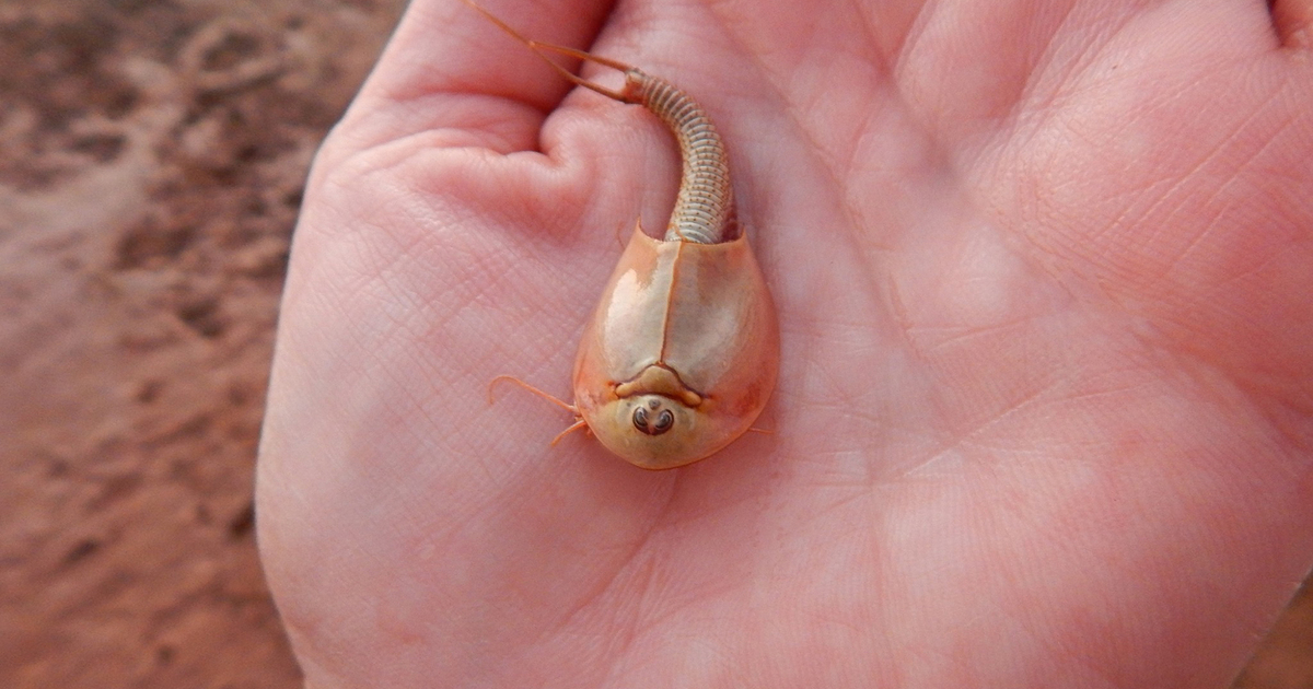 2dafc3e58df20453bd50646dc877891f3b89eabc