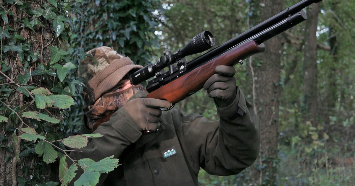 3c95d6faf7c293533a47261248414690c3f8c8f5