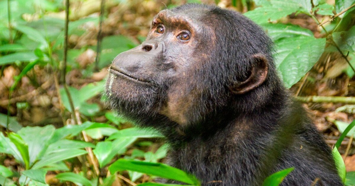 6fd64f63517c5549219d9641a7447584e7e3a949