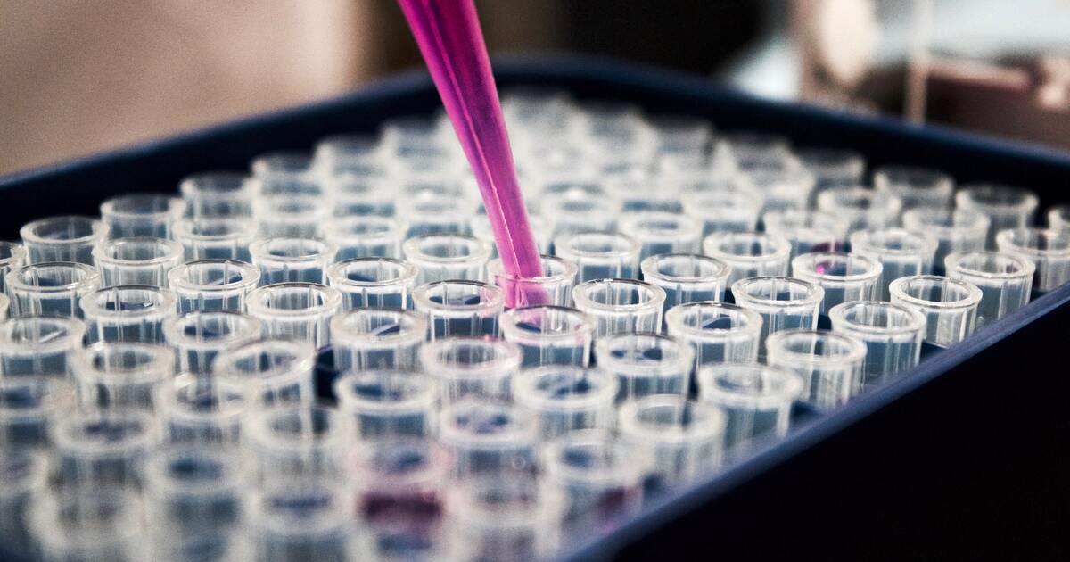 cd164f3036a9d5217c80e1c8c34214bed57e86cd