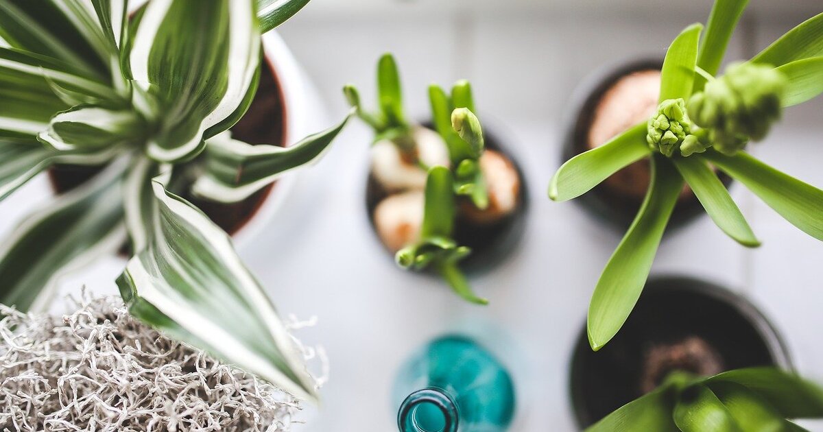 ab5d5176a2d36bd9022c3c4d5cb1d6fec89c3422