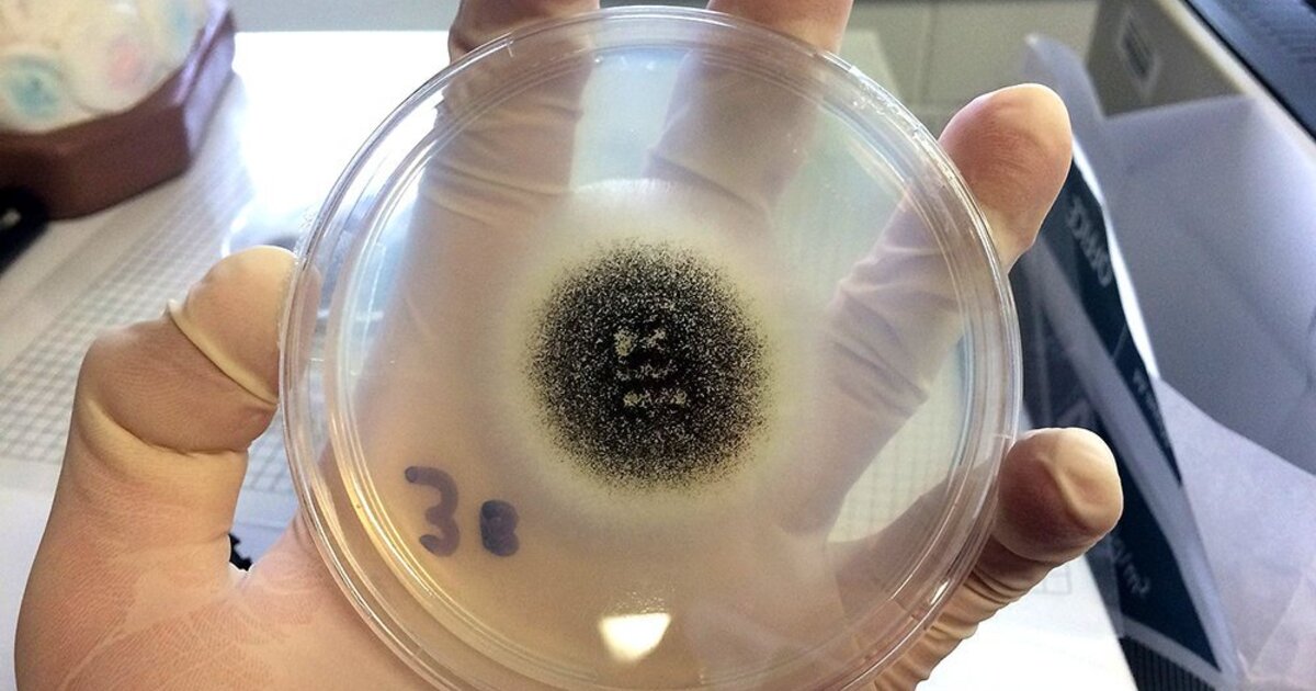 7998cbad2211f5df48f14643f6ba6f3e69a3cd02